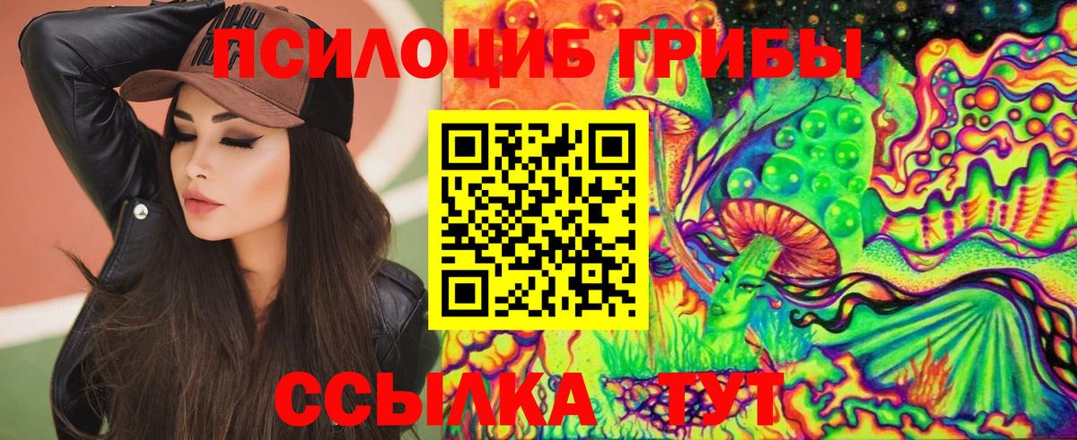Галлюциногенные грибы Psilocybe Узловая