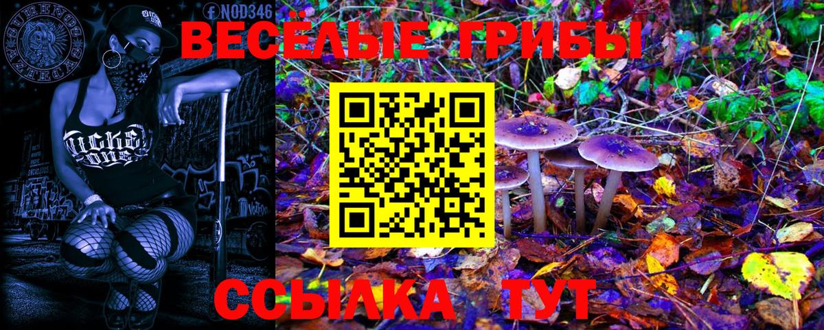 Галлюциногенные грибы мицелий  Вход с VPN  как найти закладки  Узловая 